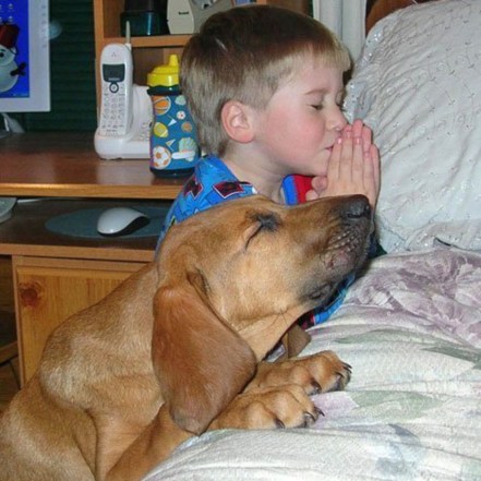 prayer-dog-boy